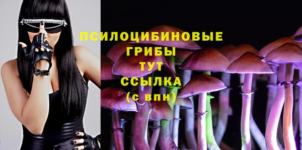 МДПВ Зеленодольск