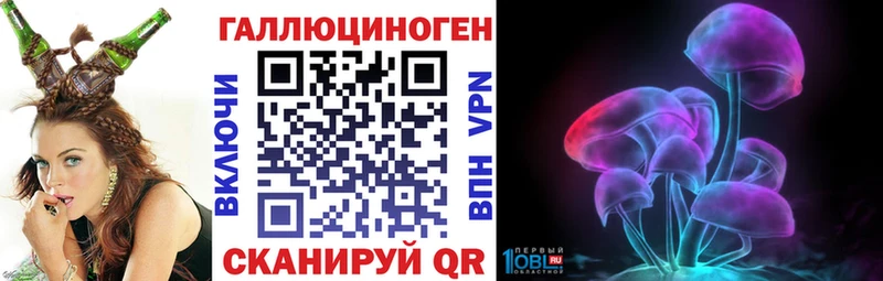 купить   Петров Вал  KRAKEN ТОР  Галлюциногенные грибы MAGIC MUSHROOMS 